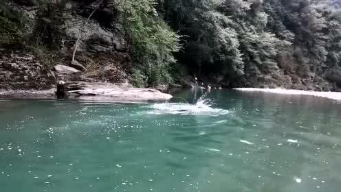 轮胎撕碎机